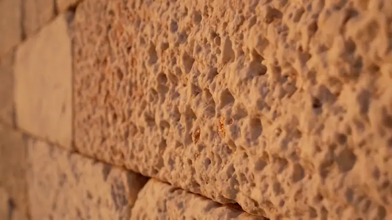 Standbild aus dem Video „Wissen“